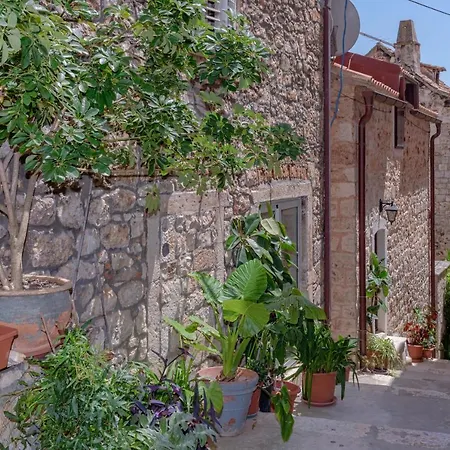 公寓 Fortezza - Hvar Old Town *